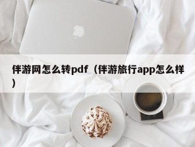 伴游网怎么转pdf（伴游旅行app怎么样）