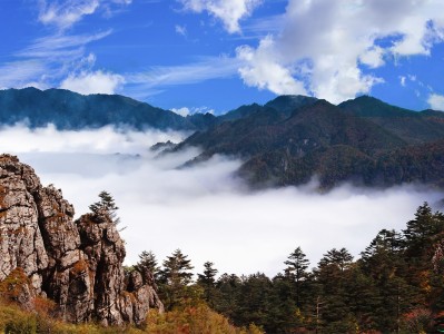 厦门神农架：秘境之旅，云海奇观，草原牧歌，探寻世外桃源